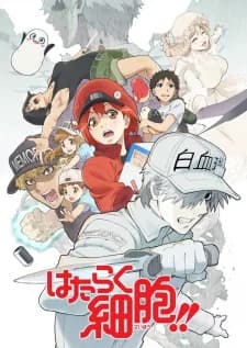 Cells at Work!! Season 2